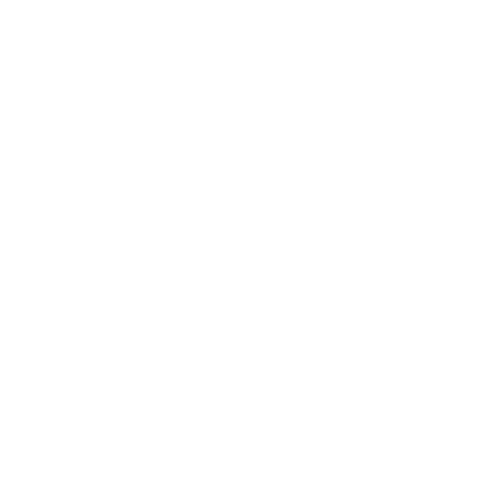 digitalX